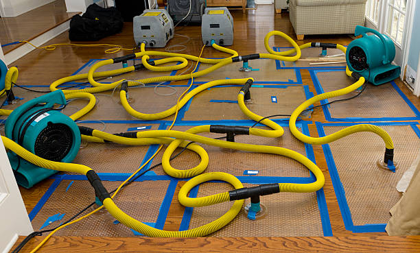 Professional Burst Pipe Water Damage technician working in New Waterford, OH