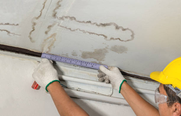Affordable Water Damage Repair solutions in New Waterford, OH